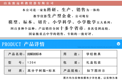 鸽解剖标本与包埋标本在中学生物教学中的应用与选购指南